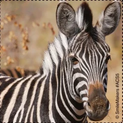 Favorite Animals Stickers