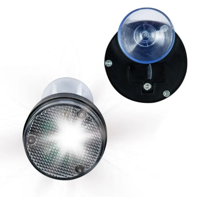 Flashing 2-Minute Brushing Timers