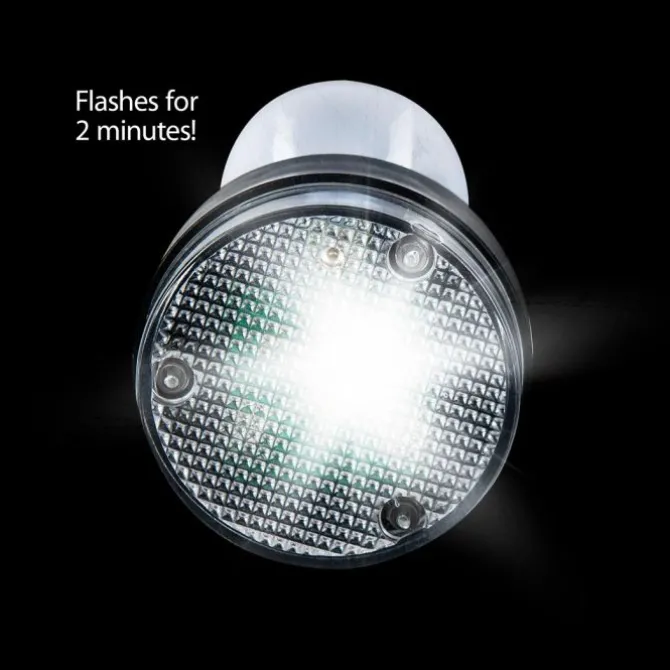 Flashing 2-Minute Brushing Timers