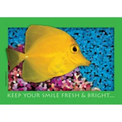 Fresh & Bright Fishy Recall Cards