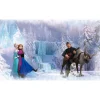 Frozen Chair Rail Wall Mural
