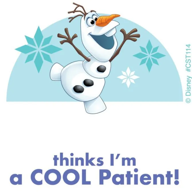 Frozen Custom Stickers
