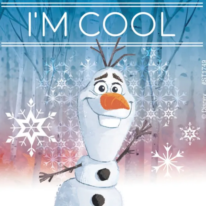 Frozen II Fearless Stickers