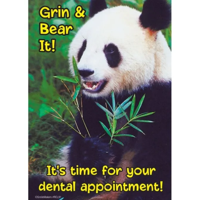 Grin & Bear It Panda Recall Cards