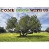 Grow With Us Recall Cards