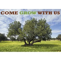 Grow With Us Recall Cards
