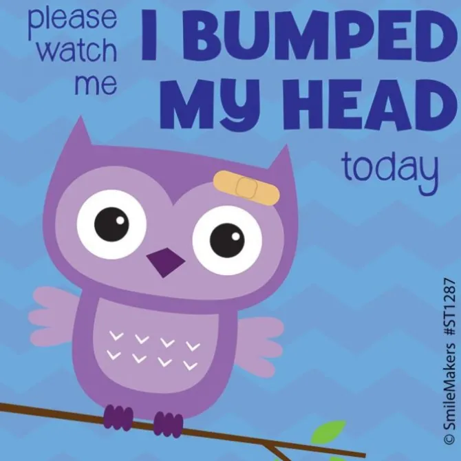 I Bumped My Head Stickers