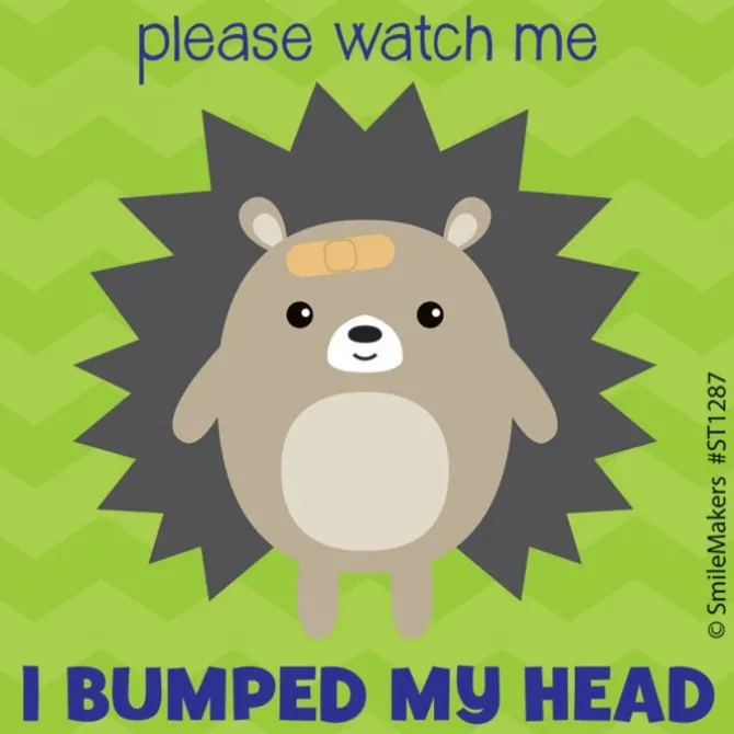 I Bumped My Head Stickers