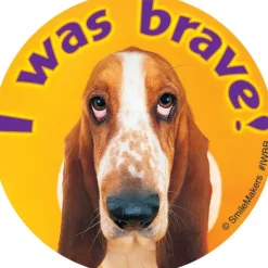 I Was Brave Stickers