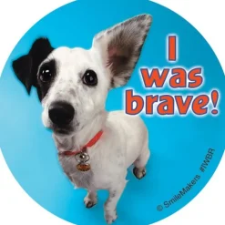 I Was Brave Stickers
