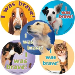 I Was Brave Stickers