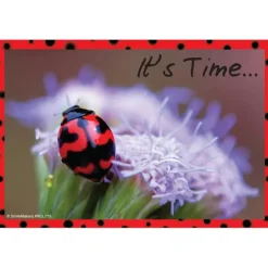 Ladybug Recall Cards