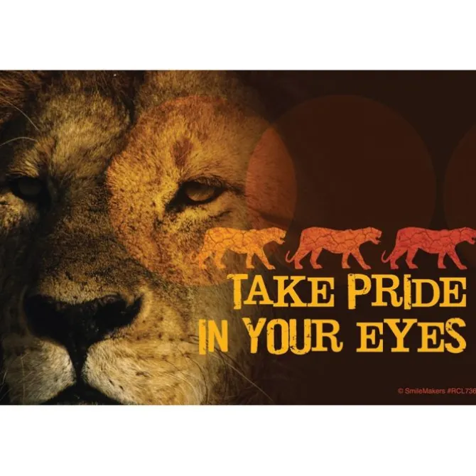 Lion Pride Eyes Recall Cards