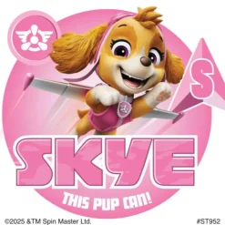 PAW Patrol On A Roll Stickers