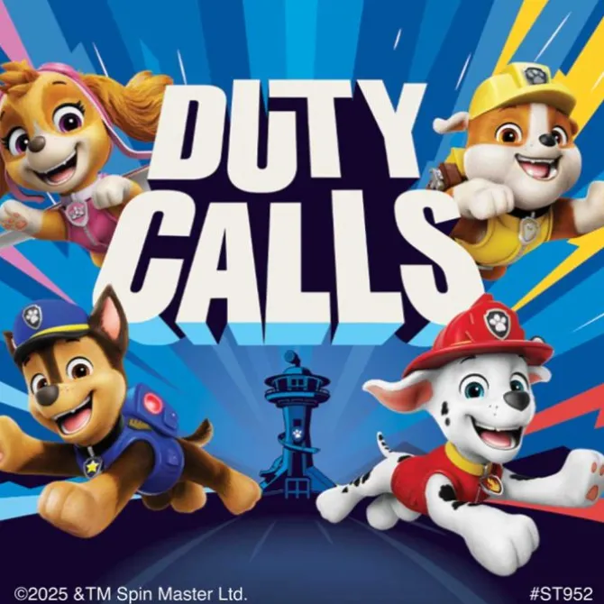 PAW Patrol On A Roll Stickers