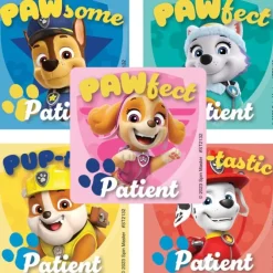 PAW Patrol Pawsome Patient Stickers