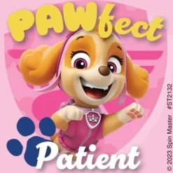 PAW Patrol Pawsome Patient Stickers