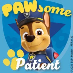 PAW Patrol Pawsome Patient Stickers