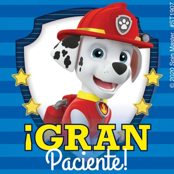PAW Patrol Spanish Patient Stickers