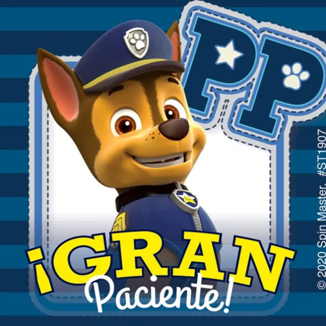PAW Patrol Spanish Patient Stickers