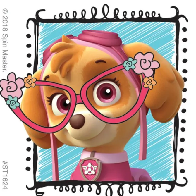 PAW Patrol Vision Stickers