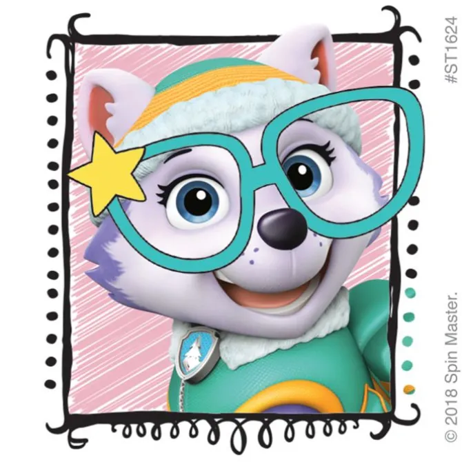 PAW Patrol Vision Stickers