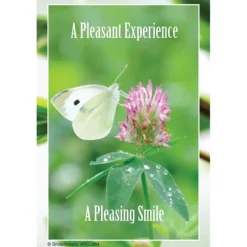 Pleasing Smile Flower Recall Cards