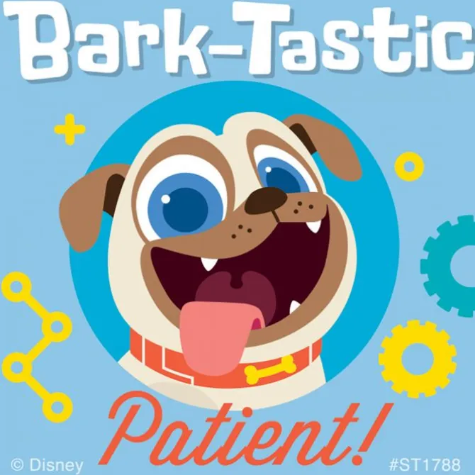 Puppy Dog Pals Patient Stickers