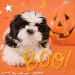Rachael Hale Boo! Crew Stickers