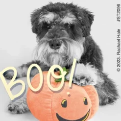 Rachael Hale Boo! Crew Stickers