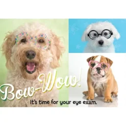 Rachael Hale Bow-Wow Eye Exam Recall Cards