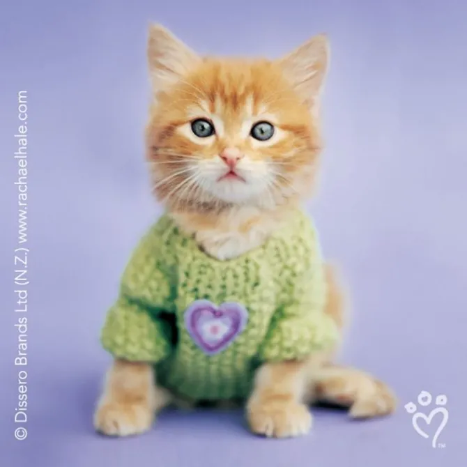 Rachael Hale® Cats Stickers