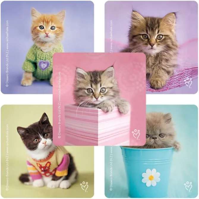 Rachael Hale® Cats Stickers