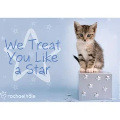 Rachael Hale Cat Treat You Like A Star Recall Cards