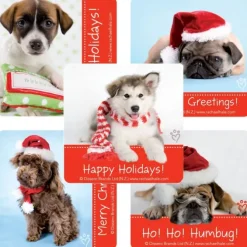 Rachael Hale Dogs Christmas Stickers