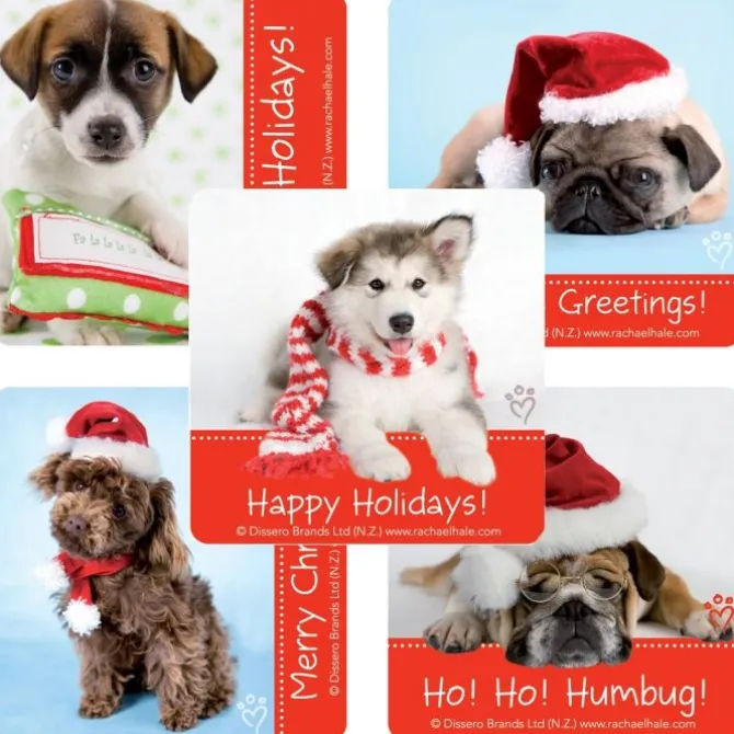 Rachael Hale Dogs Christmas Stickers