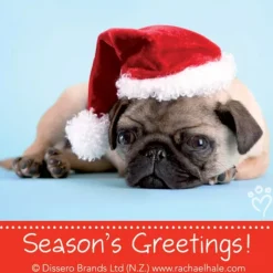 Rachael Hale Dogs Christmas Stickers