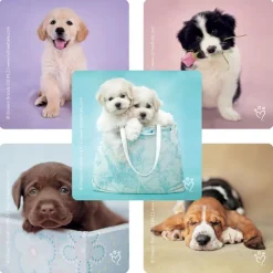 Rachael Hale® Dogs Stickers
