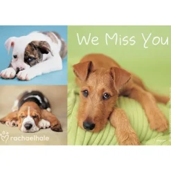 Rachael Hale Dogs We Miss You Recall Cards