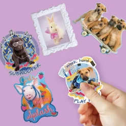 Rachael Hale Fuzzy Friends Vinyl Decals