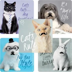 Rachael Hale Glasses & Moustaches Stickers