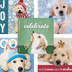 Rachael Hale Holiday Stickers