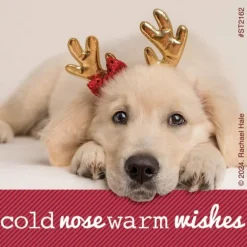 Rachael Hale Holiday Stickers