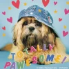 Rachael Hale Let's Pawty Stickers