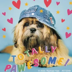 Rachael Hale Let's Pawty Stickers