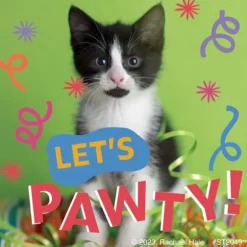 Rachael Hale Let's Pawty Stickers