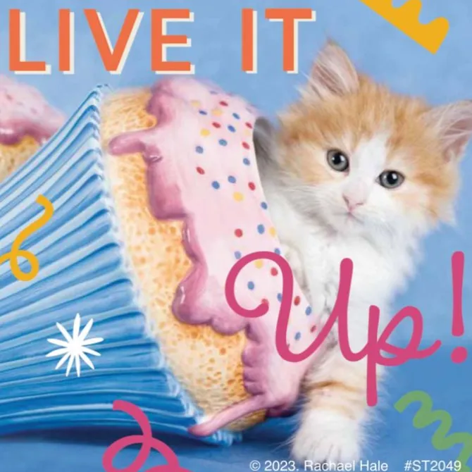 Rachael Hale Let's Pawty Stickers