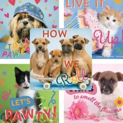 Rachael Hale Let's Pawty Stickers
