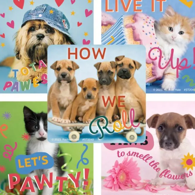 Rachael Hale Let's Pawty Stickers