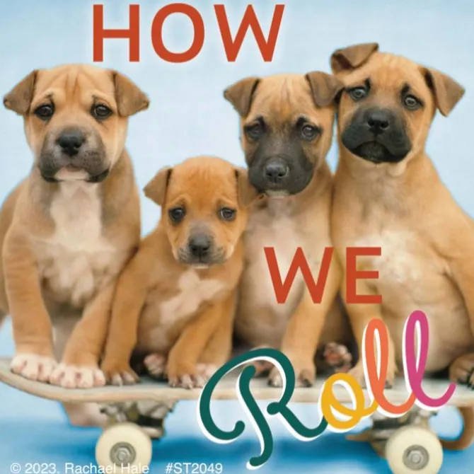 Rachael Hale Let's Pawty Stickers